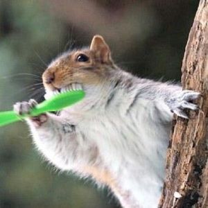 Meet your Posher, Carla